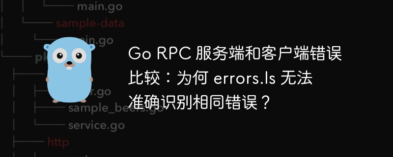 Go RPC 服务端和客户端错误比较：为何 errors.Is 无法准确识别相同错误？