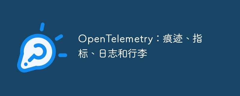 OpenTelemetry：痕迹、指标、日志和行李