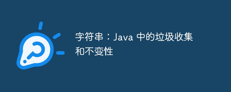 字符串：Java 中的垃圾收集和不变性