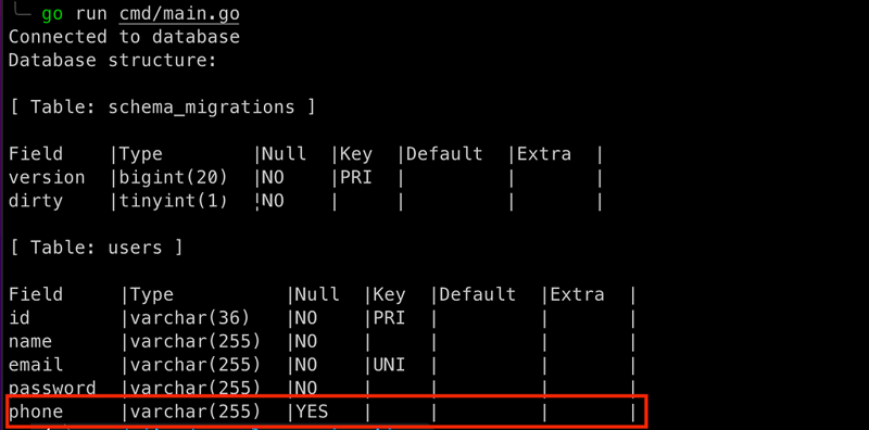 如何通过 Golang 使用迁移