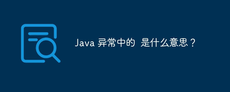 Java 异常中的  是什么意思？