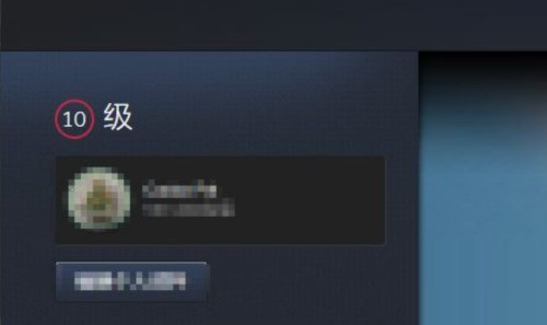 Steam游戏平台怎么样？Steam游戏平台等级怎么提升？截图