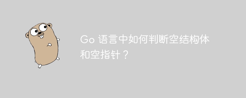 Go 语言中如何判断空结构体和空指针？