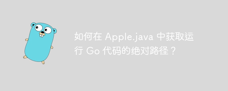 如何在 Apple.java 中获取运行 Go 代码的绝对路径？