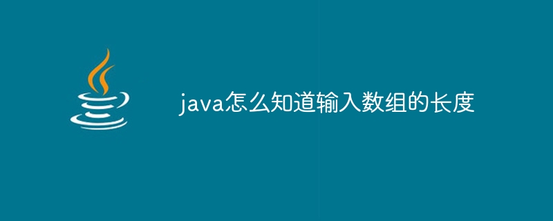 java怎么知道输入数组的长度