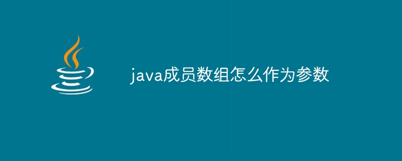 java成员数组怎么作为参数