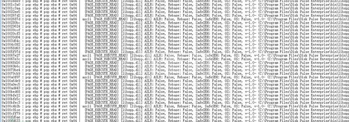 如何实现Disk Pulse Eneterprise Window应用程序的漏洞分析