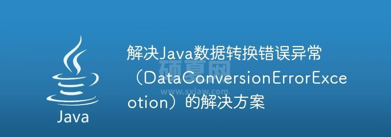 解决Java数据转换错误异常（DataConversionErrorExceotion）的解决方案