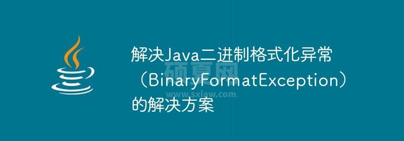 解决Java二进制格式化异常（BinaryFormatException）的解决方案