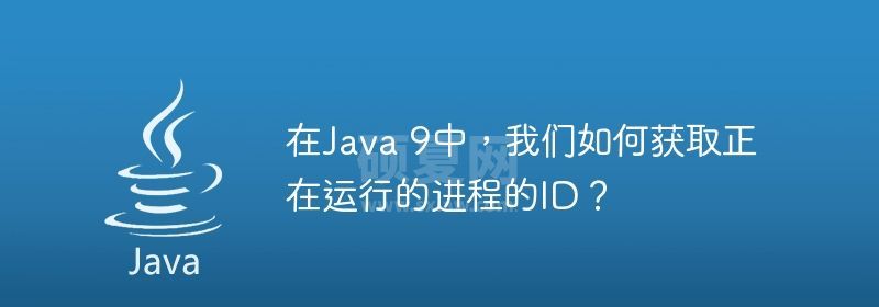 在Java 9中，我们如何获取正在运行的进程的ID？