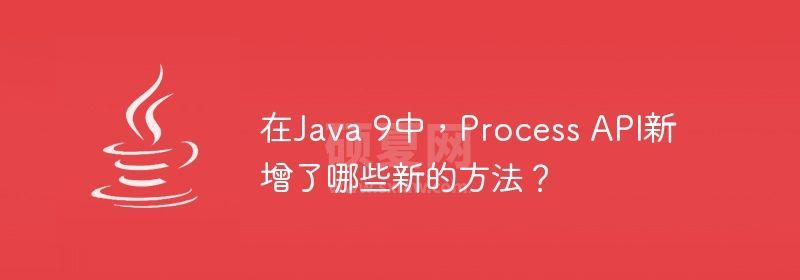 在Java 9中，Process API新增了哪些新的方法？