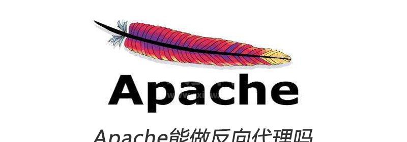 Apache能做反向代理吗