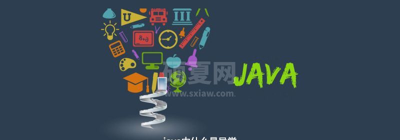 java中什么是异常