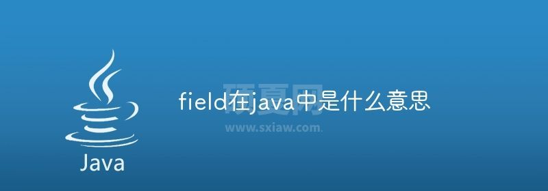 field在java中是什么意思