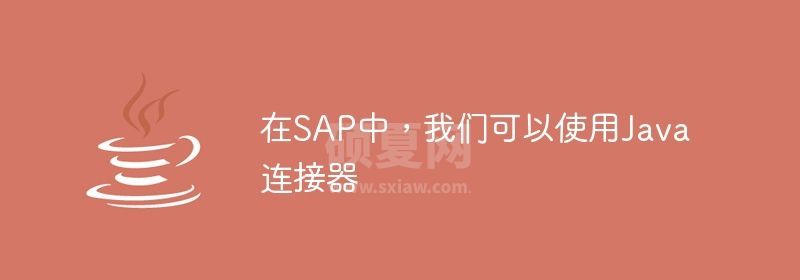 在SAP中，我们可以使用Java连接器