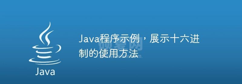 Java程序示例，展示十六进制的使用方法