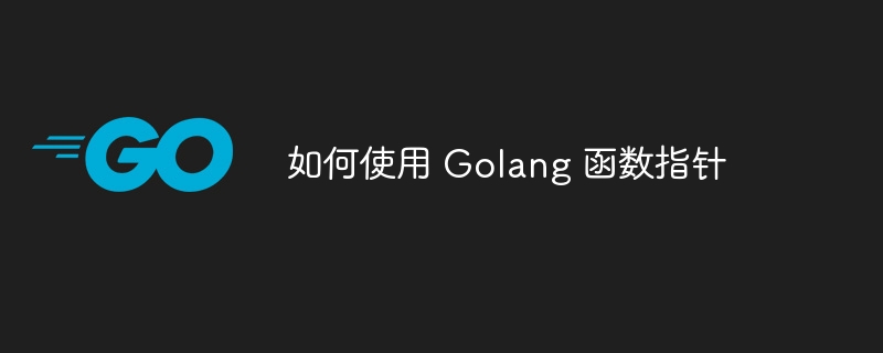 如何使用 Golang 函数指针