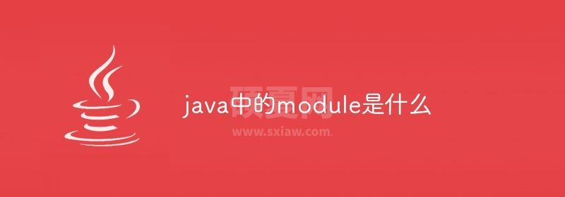 java中的module是什么