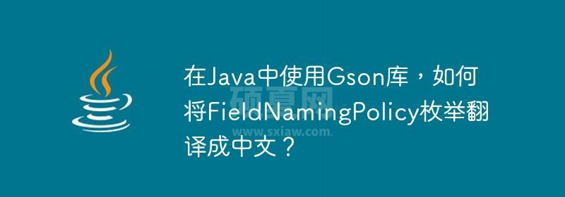 在Java中使用Gson库，如何将FieldNamingPolicy枚举翻译成中文？