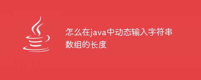 怎么在java中动态输入字符串数组的长度