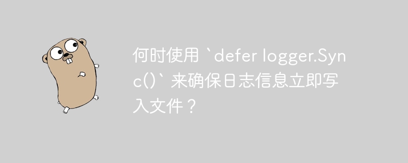 何时使用 `defer logger.Sync()` 来确保日志信息立即写入文件？