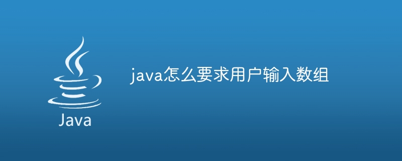 java怎么要求用户输入数组