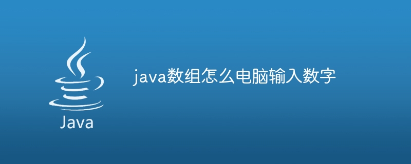 java数组怎么电脑输入数字