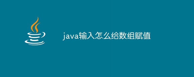 java输入怎么给数组赋值