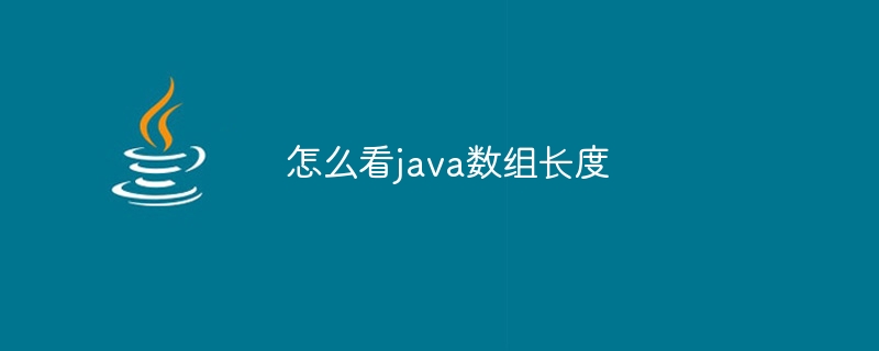 怎么看java数组长度