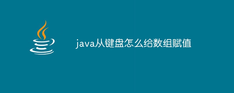 java从键盘怎么给数组赋值