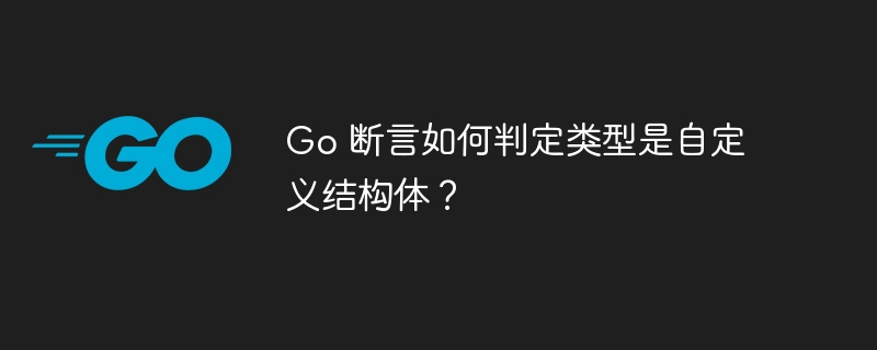 Go 断言如何判定类型是自定义结构体？