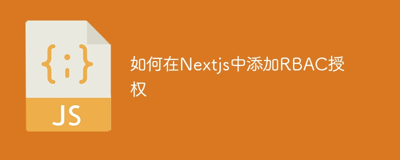 如何在Nextjs中添加RBAC授权