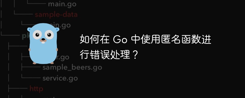 如何在 Go 中使用匿名函数进行错误处理？