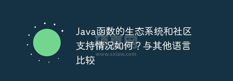 Java函数的生态系统和社区支持情况如何？与其他语言比较