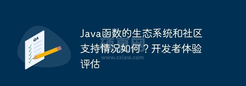 Java函数的生态系统和社区支持情况如何？开发者体验评估