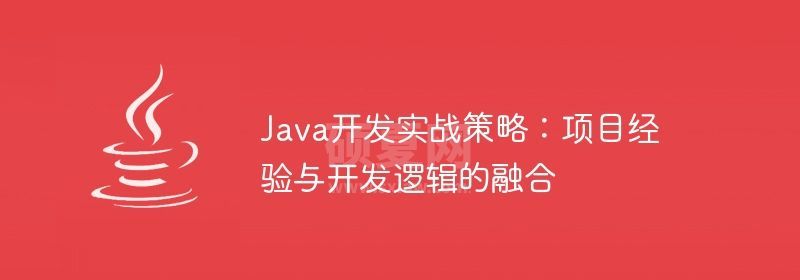 Java开发实战策略：项目经验与开发逻辑的融合