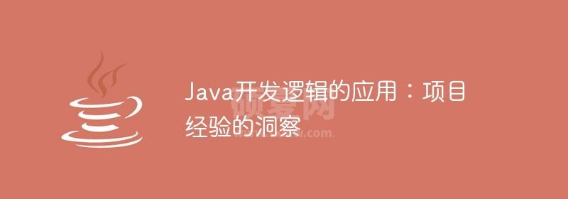 Java开发逻辑的应用：项目经验的洞察