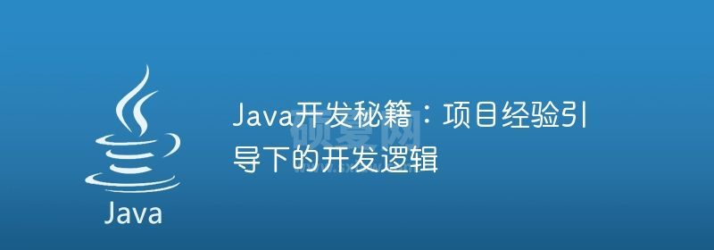 Java开发秘籍：项目经验引导下的开发逻辑