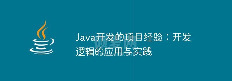 Java开发的项目经验：开发逻辑的应用与实践