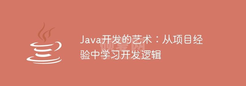 Java开发的艺术：从项目经验中学习开发逻辑