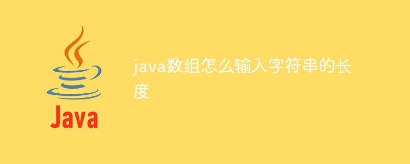 java数组怎么输入字符串的长度