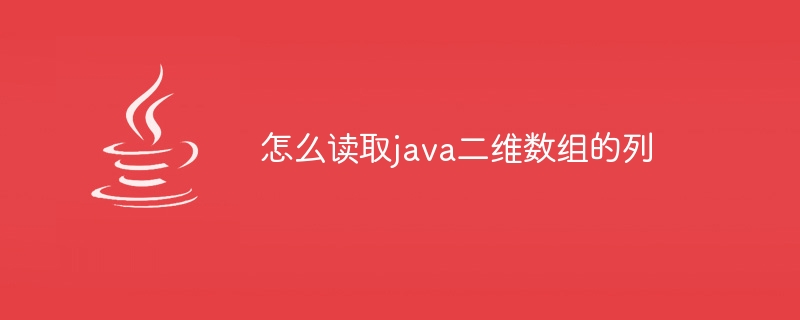 怎么读取java二维数组的列