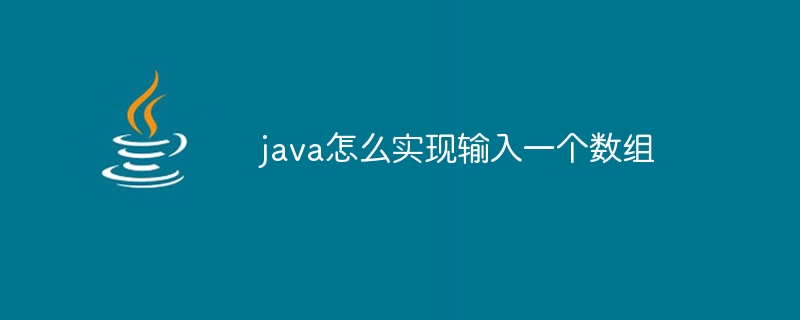 java怎么实现输入一个数组