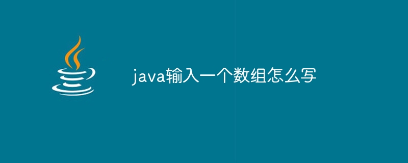 java输入一个数组怎么写