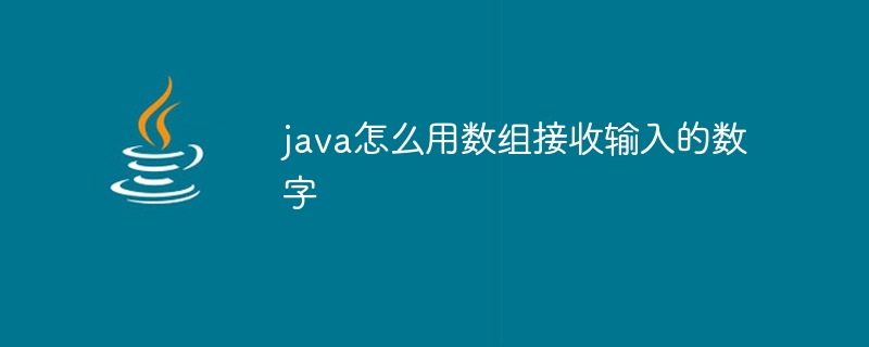 java怎么用数组接收输入的数字