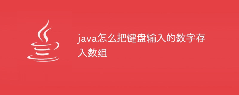 java怎么把键盘输入的数字存入数组