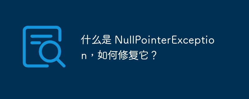 什么是 NullPointerException，如何修复它？