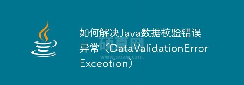 如何解决Java数据校验错误异常（DataValidationErrorExceotion）