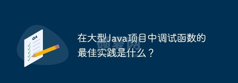 在大型Java项目中调试函数的最佳实践是什么？