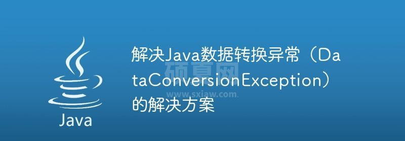 解决Java数据转换异常（DataConversionException）的解决方案